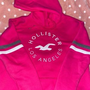 Hollister Hoodie NWOT